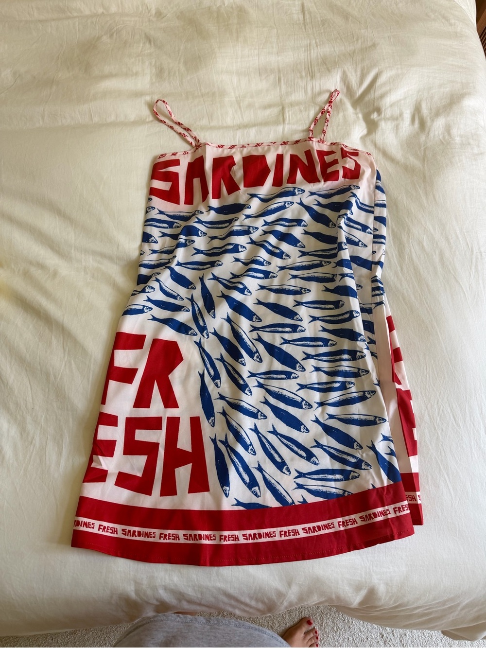 A Classy Chic Boutique Red & Blue Sardine Print Mini Dress